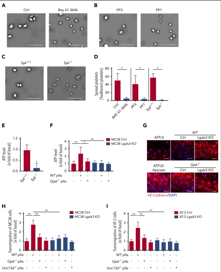 Figure 5. Interaction between GPVI and galectin-3 promotes tumor cell–induced platelet activation, degranulation, and transendothelial migration