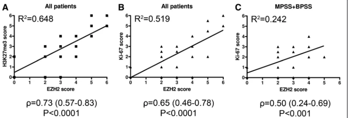 Figure 3 Scatter graphs with linear trend lines indicate positive correlations between EZH2 and the other markers