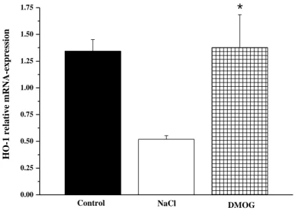 Figure  6.  HO-1  mRNA  expression.  Relative  expression  of  HO-1  in  vascular  smooth  muscle cells compared with expression of GAPDH after 24 h of cold ischaemic storage  followed by 6 h of warm reperfusion in the control, NaCl and DMOG groups