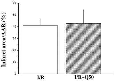 Figure  7. Infarct  area  compared  with  the  area  at  risk  (AAR).  In  rats  subjected  to  coronary artery occlusion and reperfusion (n = 7) no difference was observed in the area  at risk between the vehicle- and the Q50-treated rats (each with n = 6