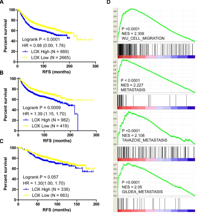 Figure 1: LOX expression correlates with PFS and metastasis in breast cancer patients