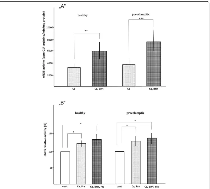 Fig. 2 ,,A'' Microsomal eNOS activity. ,,B'' Effect of pravastatin on relative microsomal eNOS activity