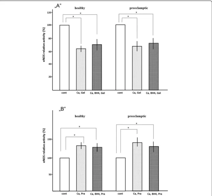 Fig. 4 „ A ” Effect of 100 nM geldanamycin on eNOS relative activity of microsomes „ B ” The effect of pravastatin on relative eNOS activity of geldanamycin treatment microsomes