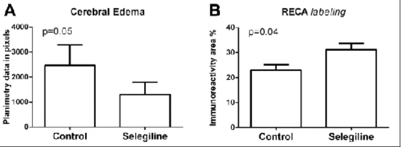 Figure  7.  The  effect  of  selegiline  treatment  on  cerebral  edema  and  microvascular  density