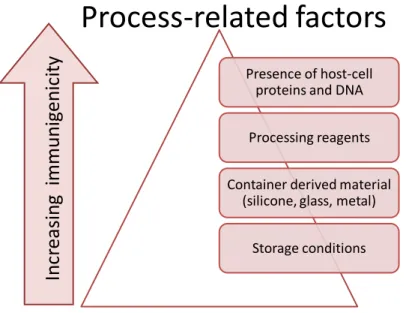 Figure 2:  Process-related actors affecting the immunogenicity of biopharmaceuticals 