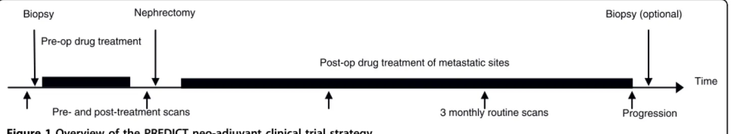 Figure 1 Overview of the PREDICT neo-adjuvant clinical trial strategy.