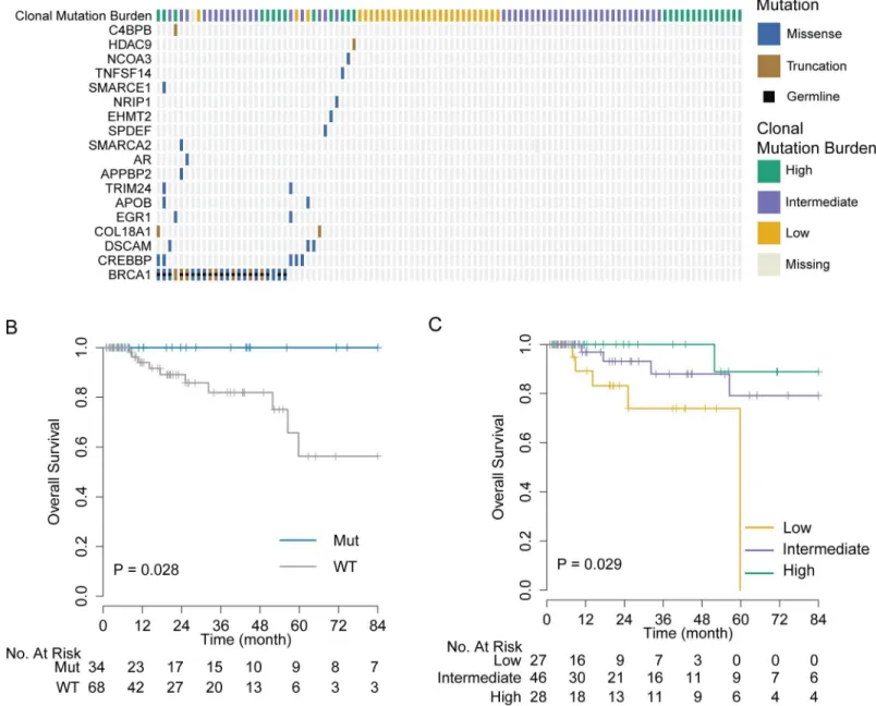 Fig 3. Validation of genomic markers of chemosensitivity in the TCGA triple negative breast cancer cohort