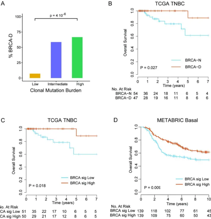 Fig 5. BRCA-deficient subtype signature identifies triple negative breast cancer patients with improved survival with anthracycline/