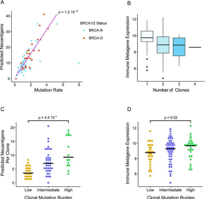 Fig 6. Clonal mutation burden and BRCA deficiency linked to immune activation in triple negative breast cancer