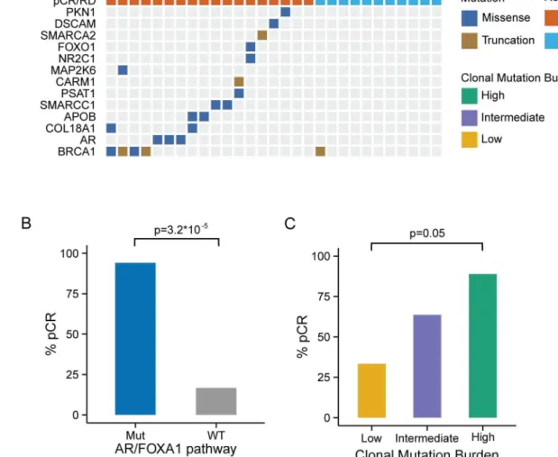 Fig 2. Genomic markers predictive of chemosensitivity in the MDACC triple negative breast cancer dataset