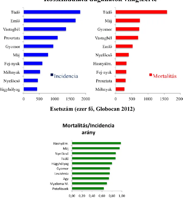 1. ábra: Rosszindulatú daganatok incidenciája és mortalitása világszerte a Globocan  2012-es  adatai  alapján:  Mortalitás/incidencia  adatok  alapján  kiemelkedik  a  hasnyálmirigy daganatok kedvezőtlen prognózisa
