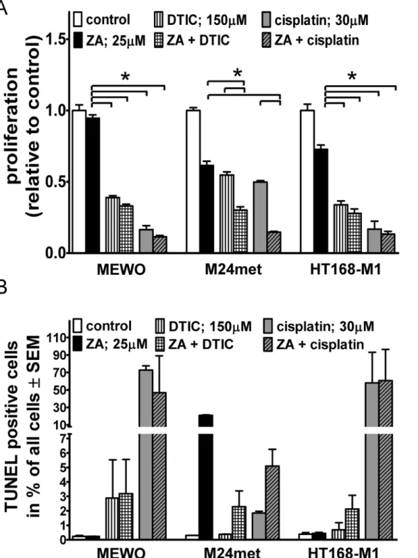 Fig 4. Proliferation and apoptosis in melanoma cells after combination treatments. (A) Both cytotoxic compounds reduced proliferation significantly after 48hs of treatment in three cell lines irrespective of oncogenic mutation using SRB assay