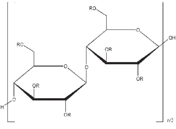 Figure 10 – Chemical structure of hypromellose [94] 