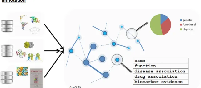 Figure 2. Schematic representation of the molecular network ‘omicsNET’  