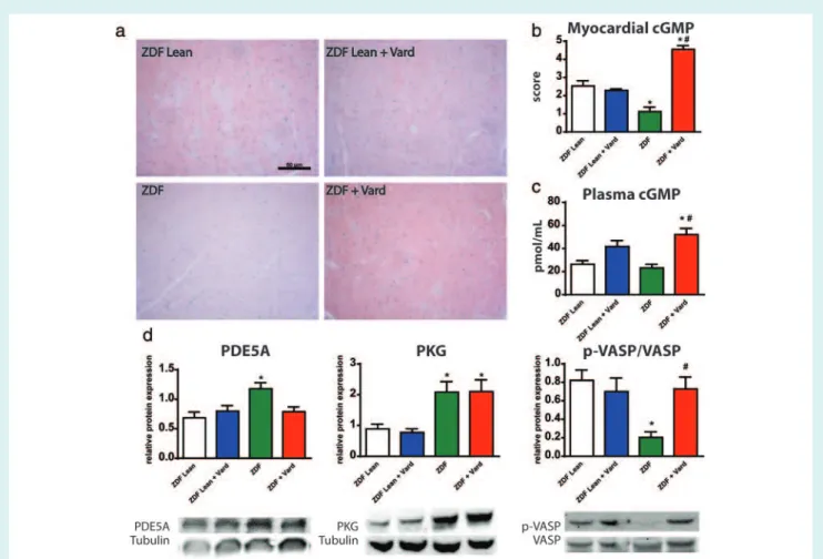 Figure 5 Modulatory effects of vardenafil on the myocardial NO-cGMP signalling in T2DM