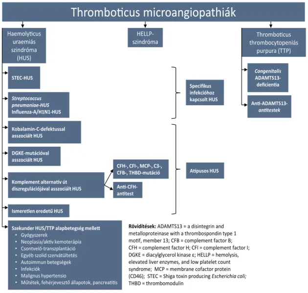 1. ábra A thromboticus microangiopathiák nemzetközi konszenzuson alapuló felosztása [6, 7] 