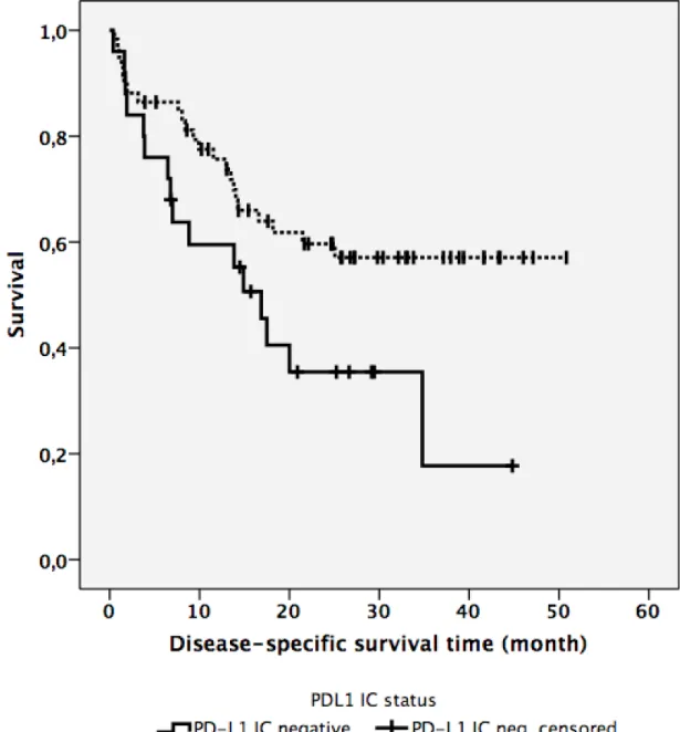 Figure  2.  PD-L1  positivity  on  immune  cells  is  followed  by  improved  disease- disease-specific  survival  in  HPV-negative  patients  (HR=0.505;  CI95%,  0.266-0.959; 
