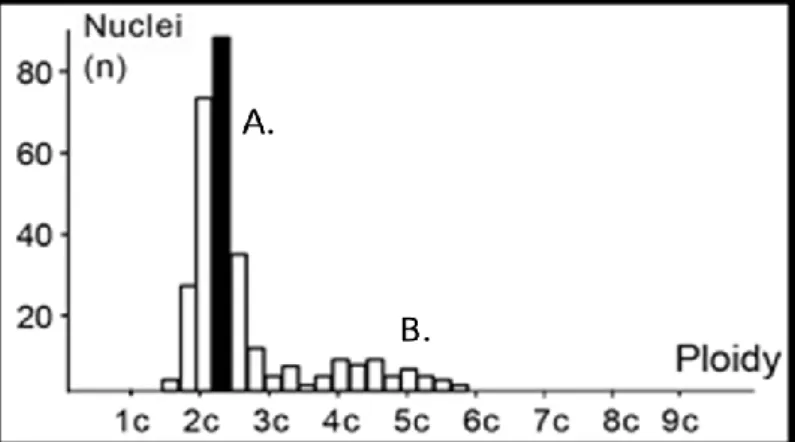Figure 7. Illustration of histogram with stemline (A) and single cell (B) interpretations