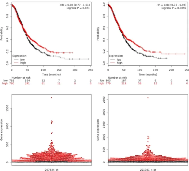 Figure 1. PDCD-1 and CTLA-4 expression based on (A) stage, (B) subtype, (C) grade and (D) P53 mutation