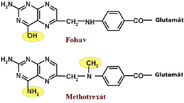 5. ábra A MTX és a folsav kémiai szerkezete 