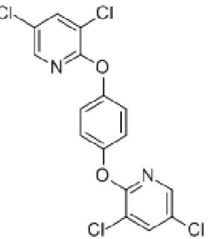 2. ábra: 1,4-bis[2-(3,5 dichloropyridyloxy)]benzén (TCPOBOP) 