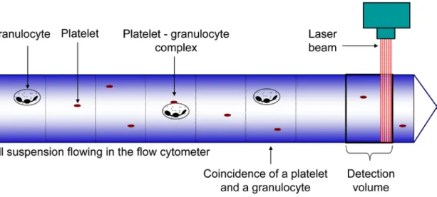 Fig. 12.  Principle of flow cytometric measurement of platelet-granulocyte complexes. 