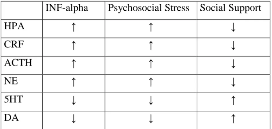 Table  8.The  biological  effect  of  interferon  alpha  treatment,  psychological  stress  and  social  support  (based  on  the  review  of  the  literature  according  Murri  et  al