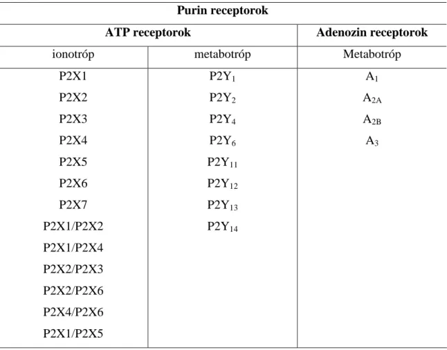 1. táblázat: Purin recetorok felosztása. 