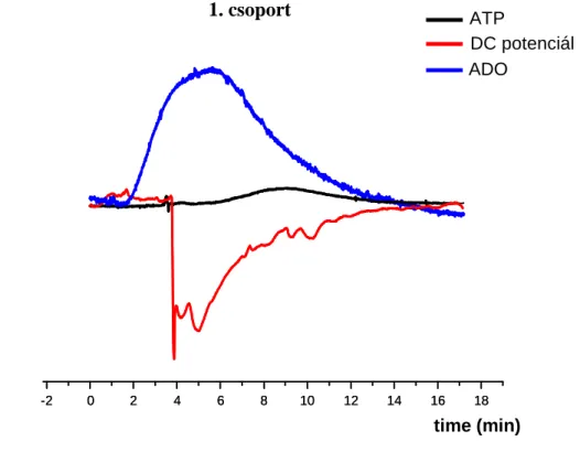 19. ábra: Valós idej ő  ATP, adenozin és glutamát felszabadulás vizsgálata K +  depolarizáció  hatásara  a  patkány  hippokampusz  szeletekben