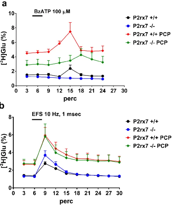 14. ábra. A glutamáterg transzmisszió P2X7 receptorokon keresztüli befolyásolása  az  egér  prefrontális  kérgében:  [ 3 H]glutamát  felszabadulás  mérése