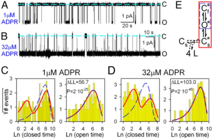 Fig. 5. Bursting gating pattern of single T5L-TRPM2 channels is evident even in saturating ADPR
