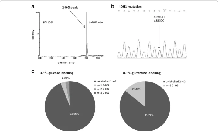 Fig. 1 Consequence of IDH1 mutation in HT-1080. The detected 2-HG peak on chromatogram (LC-MS) (a.) and the heterozygous IDH1 gene mutation which resulted IDH1 R132C was confirmed by sequencing (Sanger) (b.); The main sources of 2-HG production were evalua