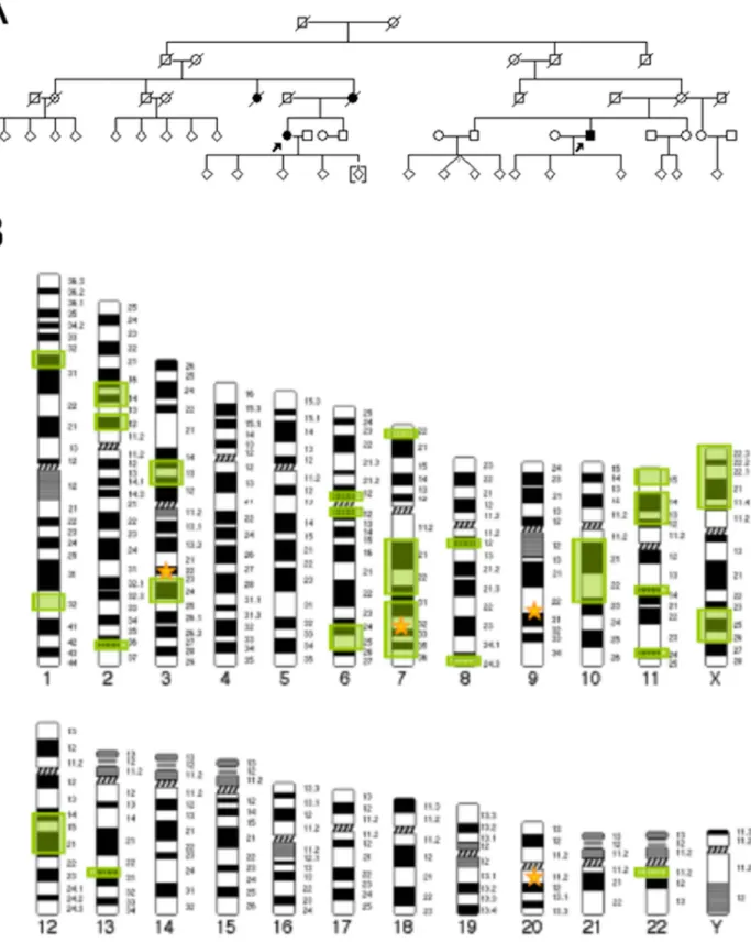 Figure 1. Pedigree and Linkage Analysis. (A) Pedigree of family used for exome sequencing