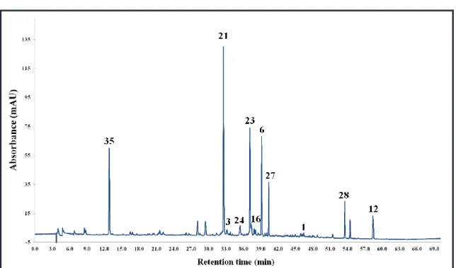 Figure  9. HPLC-UV  chromatogram  of C. avellana leaves  ethyl  acetate  extract  (see the  chromatographic  method  in  section  4.6.1.)