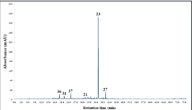 Figure  15. HPLC-UV  chromatogram  of  C. colurna bark ethyl  acetate  extract  (see the  chromatographic  method  in  section  4.6.1.)