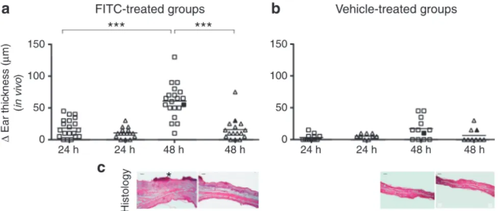 Figure 5.). These data support the hypothesis that the higher rate of CH to FITC in TGM3/KO mice is rather a consequenceFITC-treated groupsVehicle-treated groups