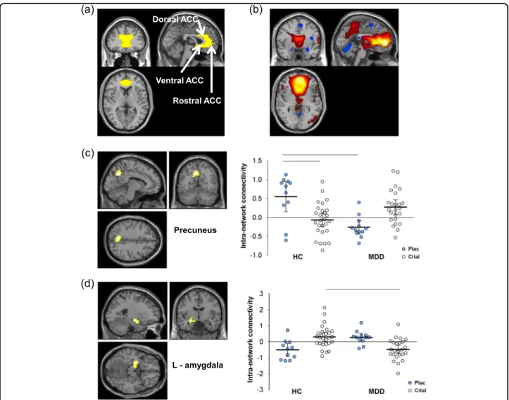 Fig. 1 Effects of citalopram vs placebo on intra-network connectivity. a Anterior cingulate cortex (ACC) spatial correlation template