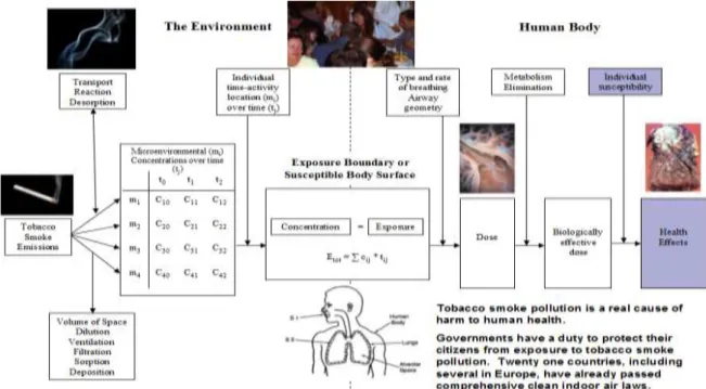 Figure 6. Compution how a pollution source translates to an exposure and eventual  harm to human health