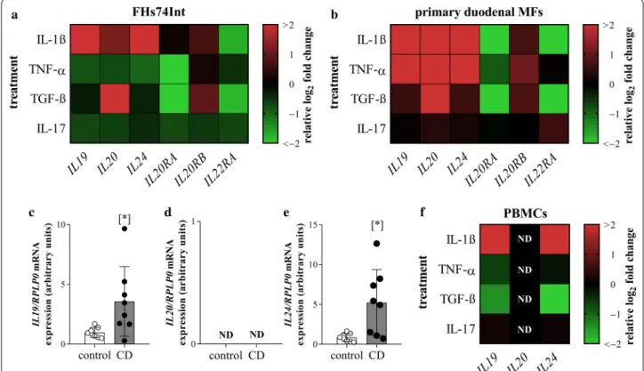 Fig. 2  Effect of IL‑1β, TNF‑α, TGF‑β and IL‑17 treatment on the expression of IL19, IL20, IL24 and their receptors