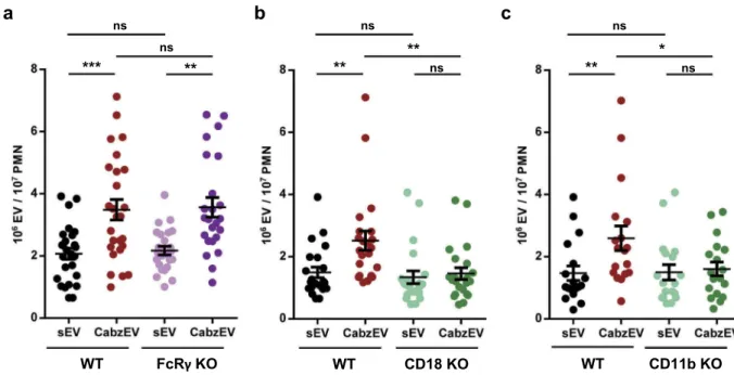 Figure 6. Mac-1/CR3 has a key role in CabzEV production in murine PMN. Comparison of sEV and CabzEV production of WT vs