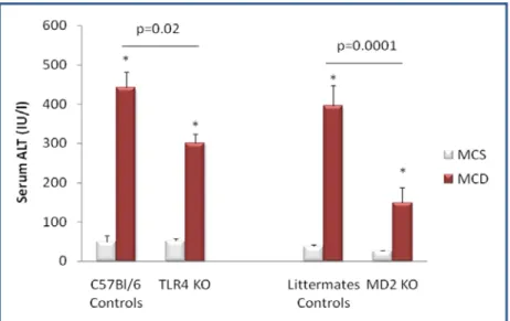 Figure 16. Mice of control genotypes and those deficient (knock-out, KO) in TLR4 (TLR4  KO) and MD-2 (MD-2 KO) were fed choline-deficient (MCD) or  methionine-choline-sufficient (MCS) diets for 8 weeks