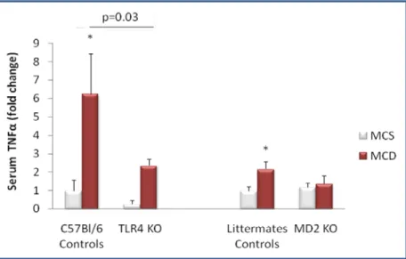 Figure 17. Mice of control genotypes and those deficient (knock-out, KO) in TLR4 (TLR4  KO) and MD-2 (MD-2 KO) were fed choline-deficient (MCD) or  methionine-choline-suffic ient  (MCS) diets for 8 weeks