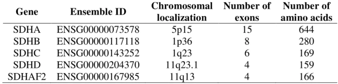Table 1. Chromosomal localization of succinate dehydrogenase subunits.  