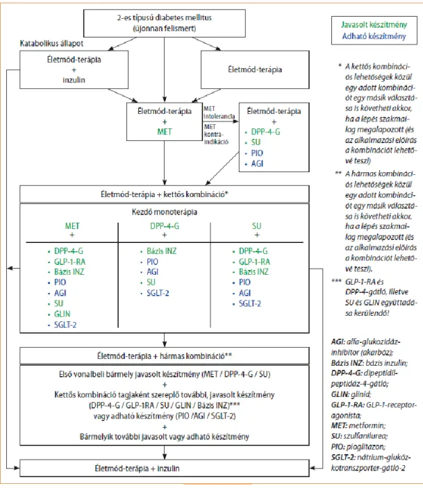 Ábra 1: Szakmailag megalapozott kezelési lépések a 2-es típusú diabétesz évekre elnyúló kórfejlődése során