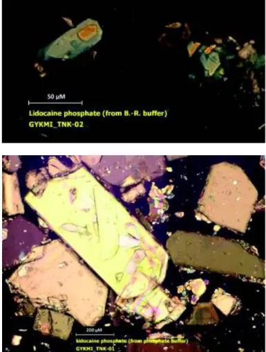 Figure 2. Microphotographs of lidocaine phosphate solids obtained from solubility experiments: (a) Britton-Robinson  buffer, (b) Sörensen buffer