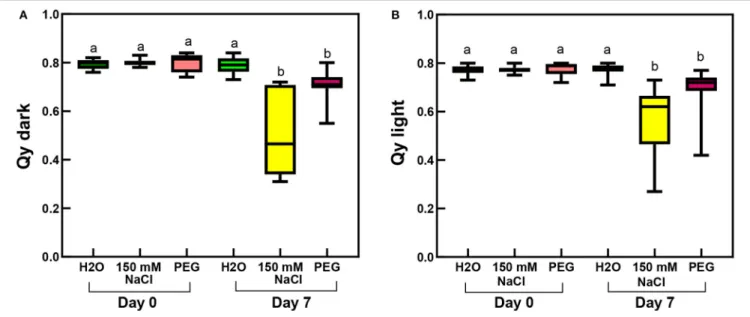 FIGURE 10 | Qy parameters of third and fourth leaf pairs of rooted spearmint shoots before treatment (“Day 0”), or after 1 week of treatment (“Day 7”) with 0 mM NaCl (“H 2 O,” control, distilled water), 150 mM NaCl and isosmotic polyethylene glycol (PEG-60