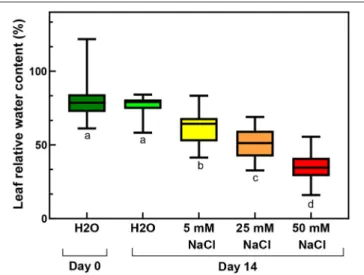 FIGURE 3 | SPAD index of third and fourth leaf pairs of freshly cut spearmint shoots before treatment (“Day 0”), or after 2 weeks of treatment (“Day 14”) with 0 mM NaCl (H 2 O, distilled water), 5, 25, and 50 mM NaCl (dissolved in distilled water)