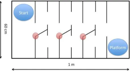 Figure 7  The schematic illustration of the applied water labyrinth system. 