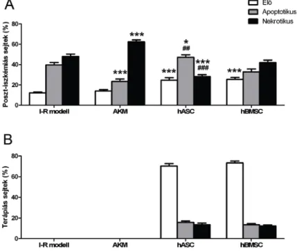 2. ábra  Áramlási  citometriás  mérés.  A)  Az  élő,  apoptotikus  és  nekrotikus  poszt- poszt-iszkémiás sejtek aránya