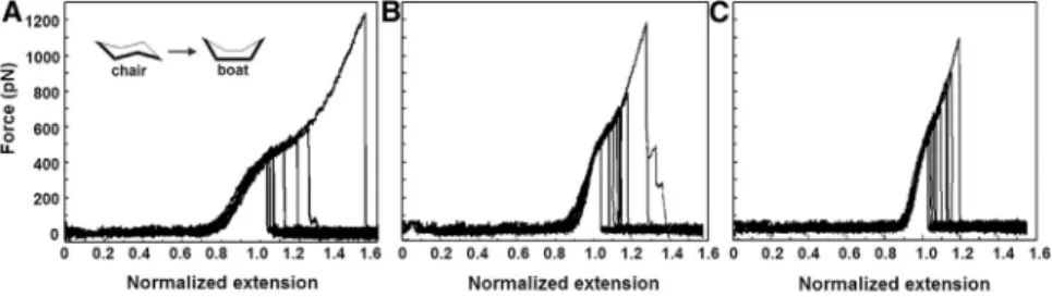 FIGURE 3 Superimposed normalized peaks with characteristic shoulders obtained by pulling isolated polysaccharides from the C